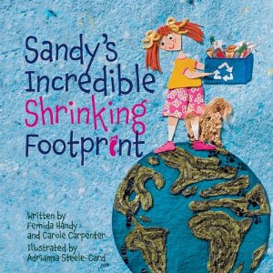 Sandy's Incredible Shrinking Footprint