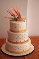 11 Tropical-Orange-Cake