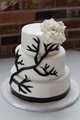 20 Branch and Flower Black and white Wedding cake